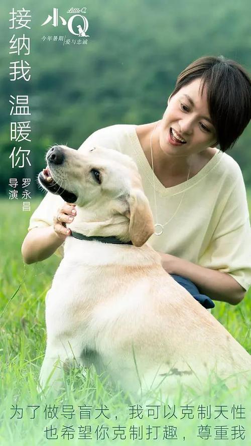 日本旅游存款证明 美金